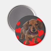 DACHSHUND Puppy met hart Magneet (Voorkant / Achterkant)
