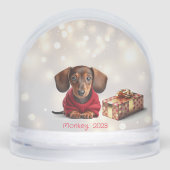 Dachshund Puppy Personalized Snow Globe (Avant)
