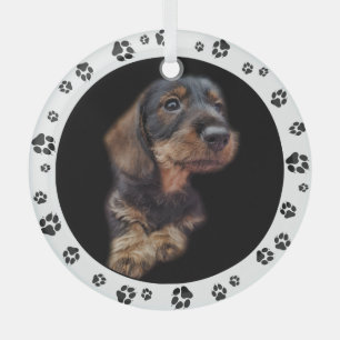 Dachshund Puppy Photo Paw Prins Glas Ornament