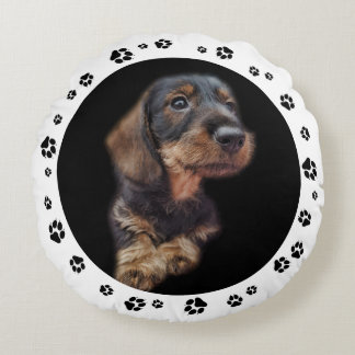 Dachshund Puppy Photo Paw Prins Rond Kussen
