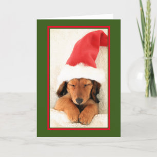DACHSHUND PUPPY SLEEPING CHRISTMAS KAART