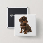 Dachshund Puppy Square Pin Vierkante Button 5,1 Cm (Voorkant /achterkant)