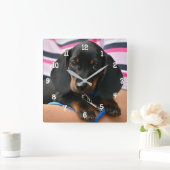 Dachshund Puppy Wall klok (Huis)