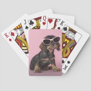 Dachshund Puppy Wearing Sunbril Pokerkaarten