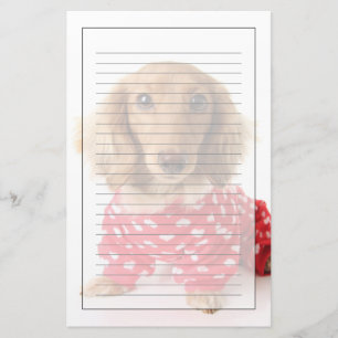 Dachshund Puppy Wearing Valentijns outfit Briefpapier