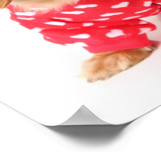 Dachshund Puppy Wearing Valentijns outfit Poster (Hoek)