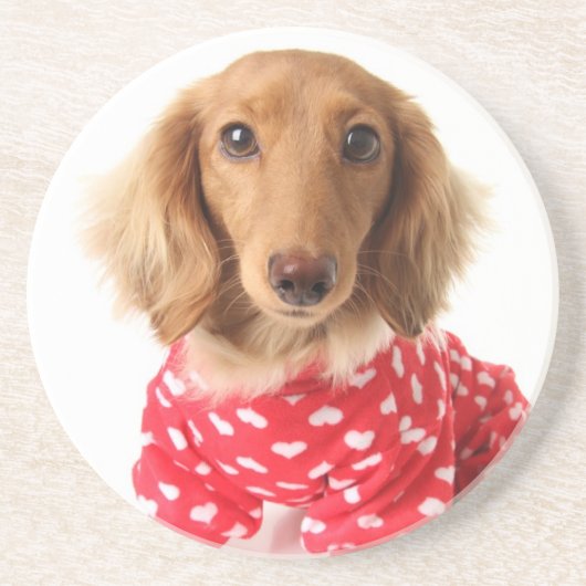 Dachshund Puppy Wearing Valentijns outfit Zandsteen Onderzetter (Voorkant)