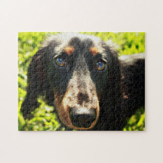 Dachshund Puzzle Legpuzzel