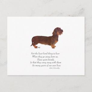Dachshund Rainbow Bridge Briefkaart