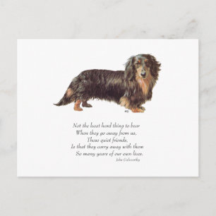Dachshund Rainbow Bridge Briefkaart