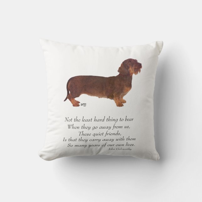 Dachshund Rainbow Bridge Kussen (Voorkant)