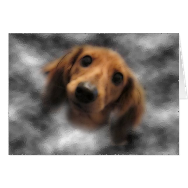 Dachshund Red LH (Voorkant Horizontaal)