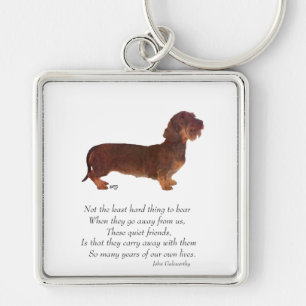 Dachshund Regenboogbrug Sleutelhanger