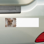 Dachshund Rescue Bumperstickers (Op auto)