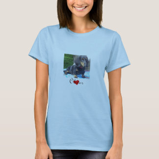 Dachshund Rescue - Landschapsvrouwen T-shirt