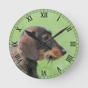 Dachshund Ronde Klok