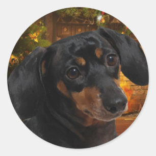 Dachshund Ronde Sticker