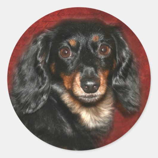 Dachshund Ronde Sticker (Voorkant)