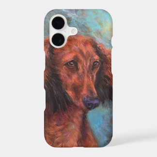 Dachshund roux aux longs poils
