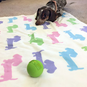 Dachshund Roze Paarse Blauwe Groene Pastels Deken