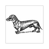 Dachshund Rubberstempel (Afrduk)