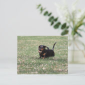 Dachshund Running Briefkaart (Staand voorkant)