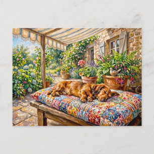 Dachshund rustend op een tuinbank met patchwork briefkaart