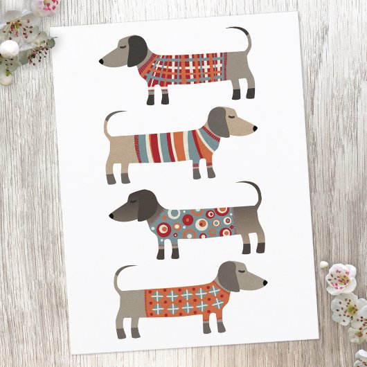 Dachshund Sause Dog Briefkaart