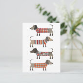 Dachshund Sause Dog Briefkaart (Staand voorkant)