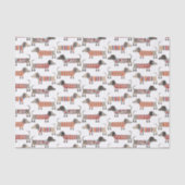 Dachshund Sause Dog Tissuepapier (Voorkant)