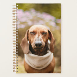 Dachshund schattig planner