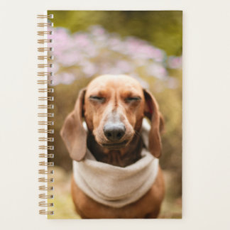 Dachshund schattig planner
