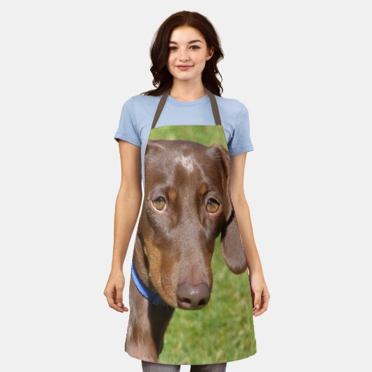 Dachshund Schort (Gedragen)