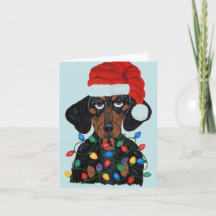 Dachshund Sinterklaas in de knoop met kerstverlich