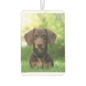 Dachshund Sitting in Grass Luchtverfrisser (Achterkant)