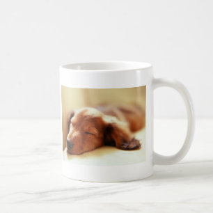 Dachshund slapen koffiemok