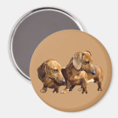 Dachshund Smoothies Magnet Magneet (Voorkant / Achterkant)