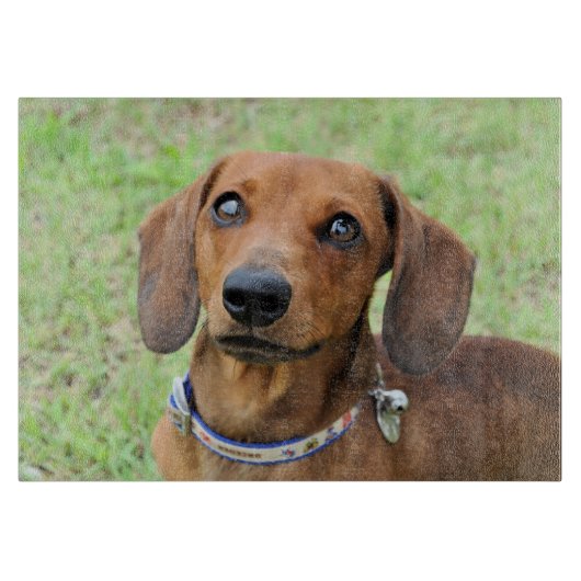 Dachshund Snijplank (Voorkant)