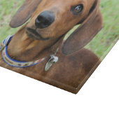 Dachshund Snijplank (Hoek)