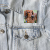 Dachshund Square Pin Vierkante Button 5,1 Cm (In situ)