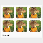 Dachshund Stickers (Vel)