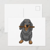 Dachshund Stok Briefkaart (Voorkant / Achterkant)