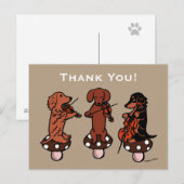 Dachshund String Trio Muzikanten Bedankt Briefkaart (Voorkant / Achterkant)