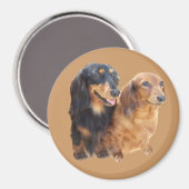 Dachshund Sweeties Magnet Magneet (Voorkant / Achterkant)