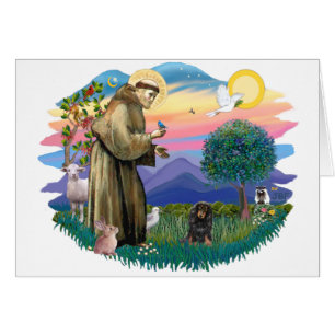 Dachshund (tan noir aux cheveux longs)