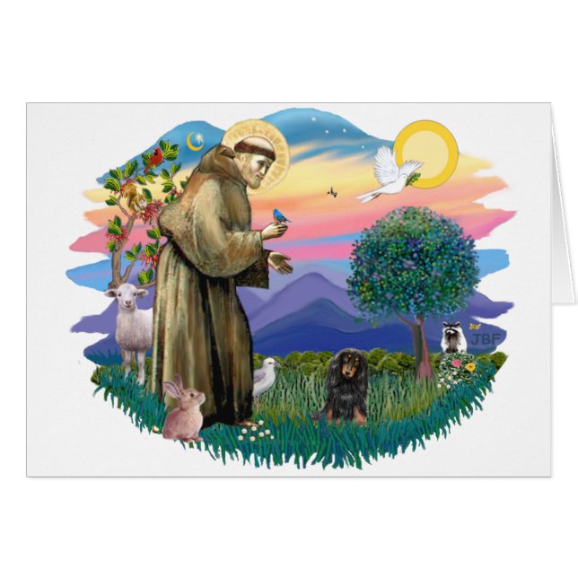 Dachshund (tan noir aux cheveux longs) (Devant horizontal)