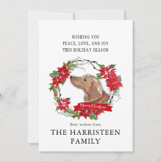 Dachshund tan Waterverf Poinsettia Kerst Feestdagenkaart