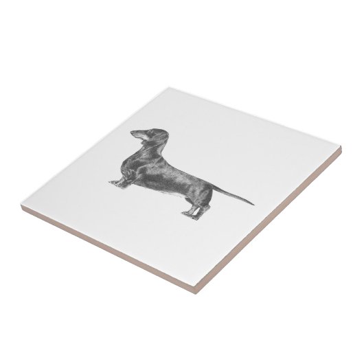 Dachshund Tegeltje (Zijkant)