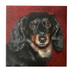 Dachshund Tegeltje