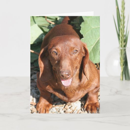 Dachshund Thinking of you Card Kaart (Voorkant)